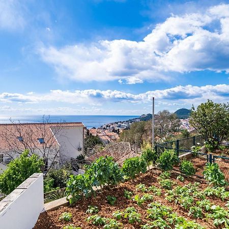 Apartment Debos Dubrovnik Bagian luar foto